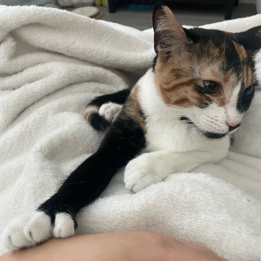 Meet your Posher, Nicole